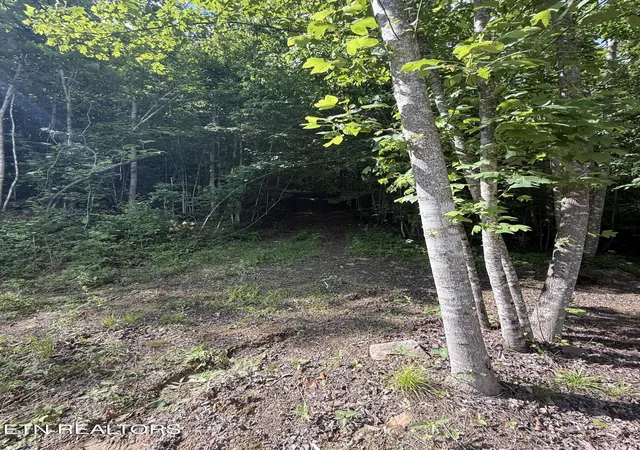 Photo 3 of Land for sale at 549 Defender Rd, La Follette, TN 37766 | MLS# 1341733 | Listing updated on 2026-08-21