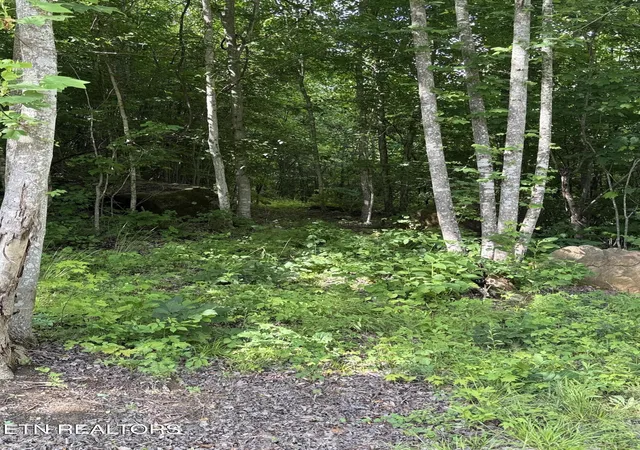 Photo 3 of Land for sale at 549 Defender Rd, La Follette, TN 37766 | MLS# 1341733 | Listing updated on 2026-08-21