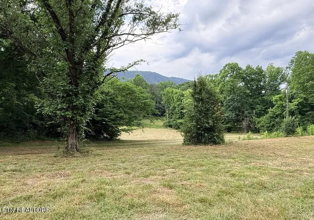 19th image of Old Chilhowee Tract 1 Rd, Seymour, TN 37865 | MLS# 1342114