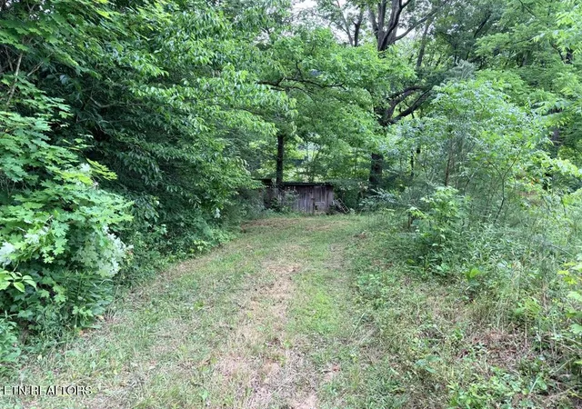 23rd image of Old Chilhowee Tract 3 Rd, Seymour, TN 37865 | MLS# 1342000