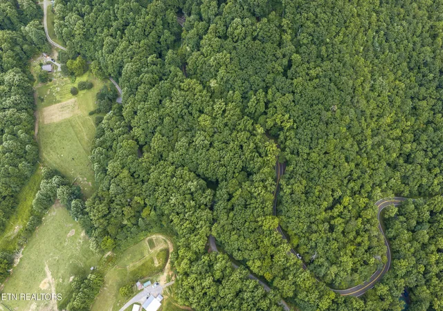 3rd image of Emilyville Wy, Cosby, TN 37722 | MLS# 1341745