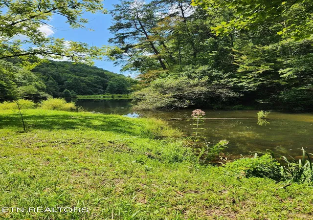 Photo 4 of Land for sale at 380 Seng Garden Rd, Tellico Plains, TN 37385 | MLS# 1341772 | Listing updated on 2026-08-22