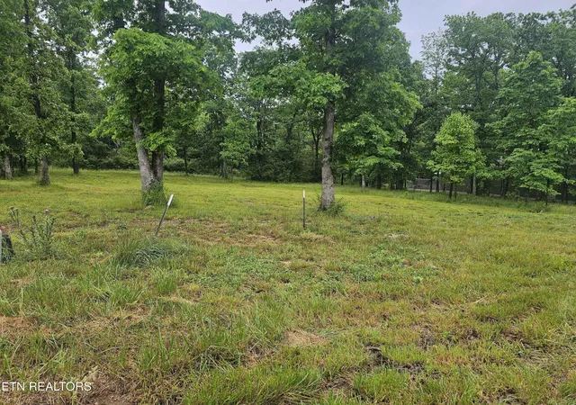 4th image of Holly Tree Dr, Crossville, TN 38555 | MLS# 1341788