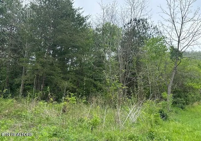 Photo 3 of Land for sale at Douglas Ln, Jellico, TN 37762 | MLS# 1341837 | Listing updated on 2026-05-21