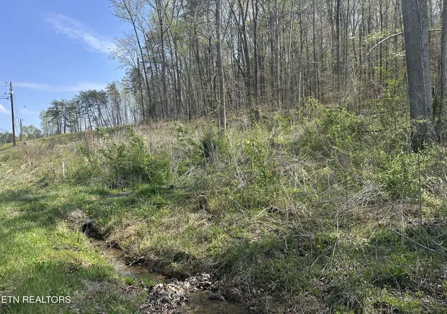 Photo 4 of Land for sale at Douglas Ln, Jellico, TN 37762 | MLS# 1341837 | Listing updated on 2026-05-21