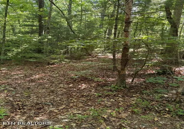 14th image of Lot 3 Old Furnace Rd, Tellico Plains, TN 37385 | MLS# 1344791