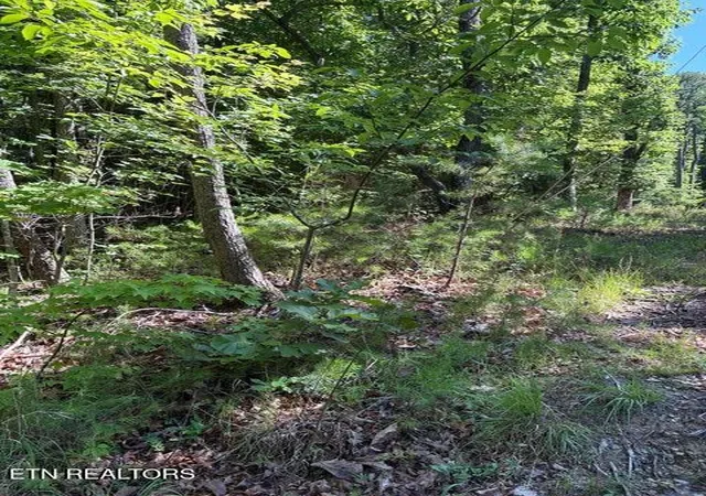 2nd image of Lot 3 Old Furnace Rd, Tellico Plains, TN 37385 | MLS# 1344791