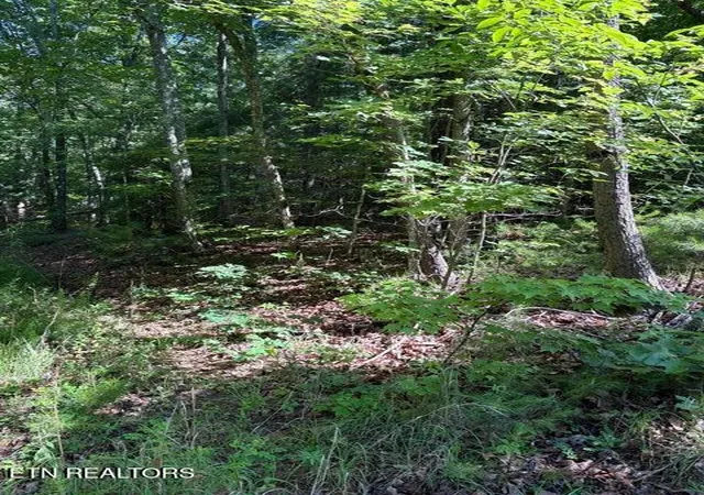3rd image of Lot 3 Old Furnace Rd, Tellico Plains, TN 37385 | MLS# 1344791