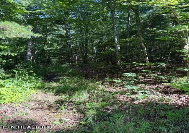 4th image of Lot 3 Old Furnace Rd, Tellico Plains, TN 37385 | MLS# 1344791