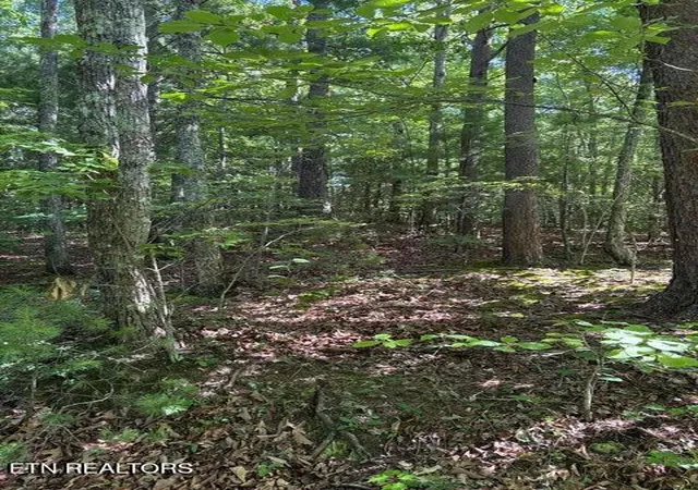 5th image of Lot 3 Old Furnace Rd, Tellico Plains, TN 37385 | MLS# 1344791