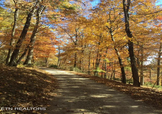 22nd image of 249 Chloe Tr, Tazewell, TN 37879 | MLS# 1342295