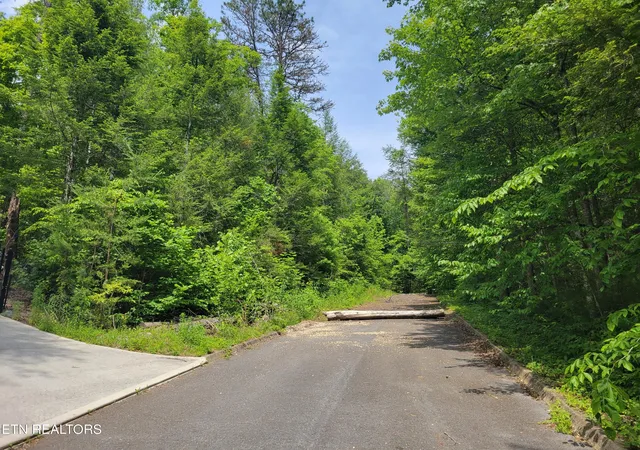 3rd image of Lot 14 Peace Ln, Newport, TN 37821 | MLS# 1342015