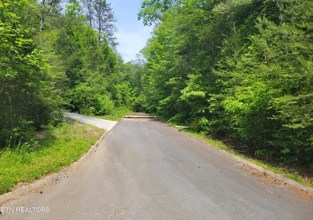 4th image of Lot 14 Peace Ln, Newport, TN 37821 | MLS# 1342015