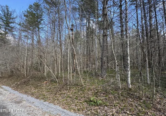 3rd image of Cougar Trail Tr #18, Del Rio, TN 37727 | MLS# 1345529
