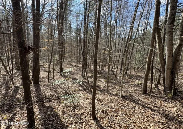 4th image of Cougar Trail Tr #18, Del Rio, TN 37727 | MLS# 1345529