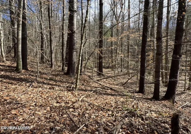 5th image of Cougar Trail Tr #18, Del Rio, TN 37727 | MLS# 1345529