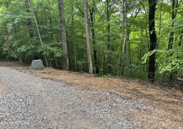 8th image of Lakemont Ln, Caryville, TN 37714 | MLS# 1342137