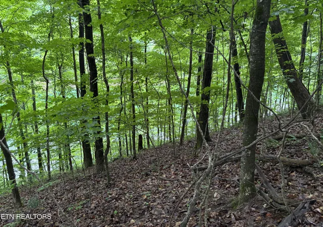 5th image of Lakemont Ln, Caryville, TN 37714 | MLS# 1342137