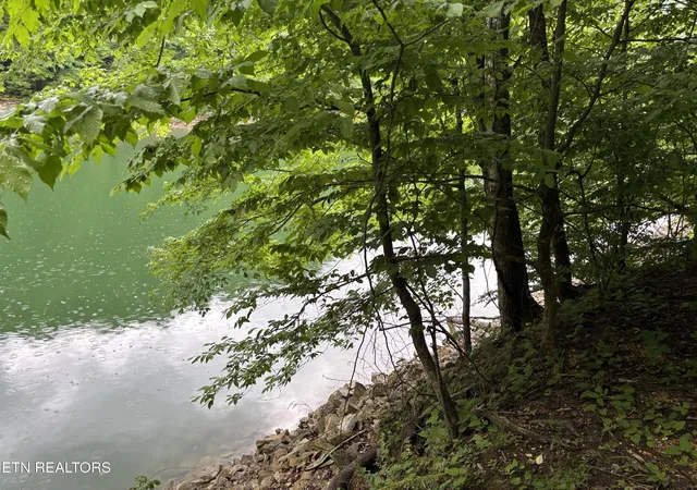 4th image of Lakemont Ln, Caryville, TN 37714 | MLS# 1342137