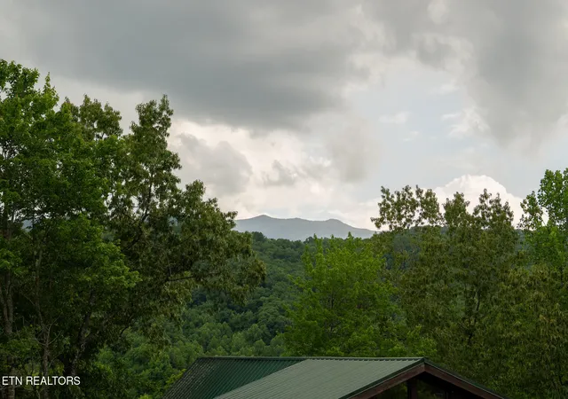 3rd image of 314 Brown Wren Wy, Gatlinburg, TN 37738 | MLS# 1342170