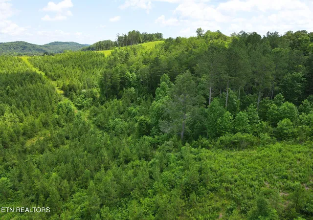 Photo 4 of Land for sale at Lot 54 Three Point Rd, Vonore, TN 37885 | MLS# 1342520 | Listing updated on 2026-06-08