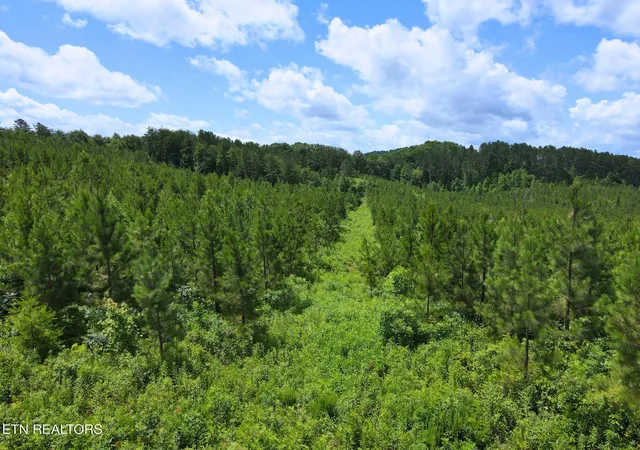 Photo 3 of Land for sale at Lot 54 Three Point Rd, Vonore, TN 37885 | MLS# 1342520 | Listing updated on 2026-06-08