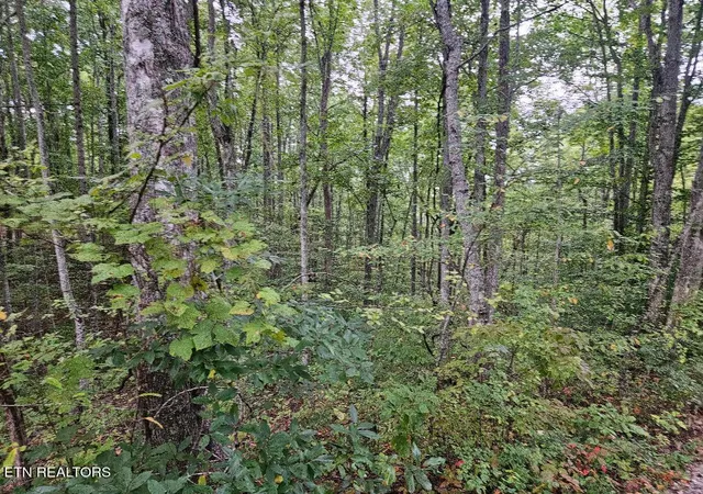 Homes for sale in Wilder, TN | Sells Cemetery Rd, Wilder, TN 38589 | MLS# 1342194