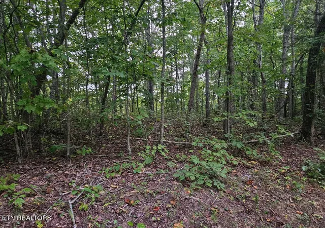 Homes for sale in Wilder, TN | Sells Cemetery Rd, Wilder, TN 38589 | MLS# 1342194