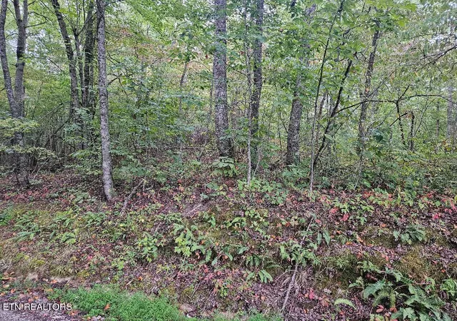 Homes for sale in Wilder, TN | Sells Cemetery Rd, Wilder, TN 38589 | MLS# 1342194