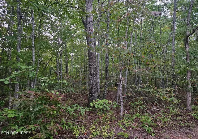 Homes for sale in Wilder, TN | Sells Cemetery Rd, Wilder, TN 38589 | MLS# 1342194