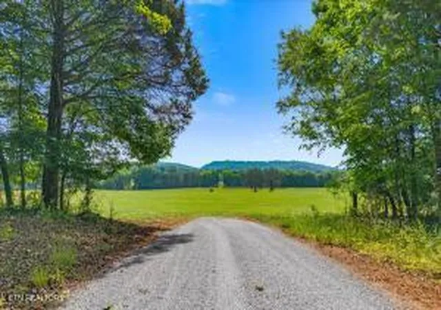 Homes for sale in Riceville, TN | 21+/  Acre County Road 675, Riceville, TN 37370 | MLS# 1342278