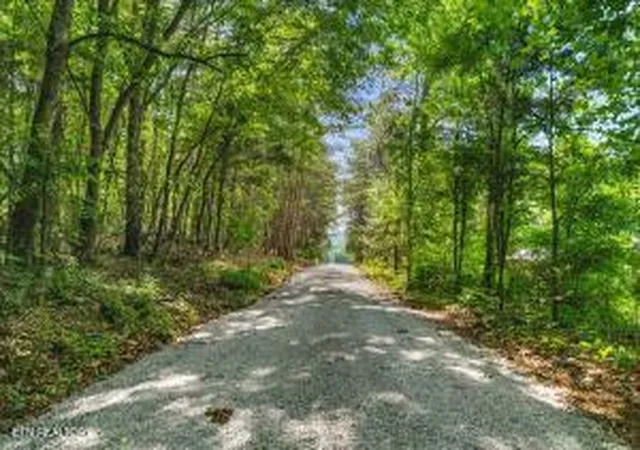 5th image of 21+/- Acre County Road 675, Riceville, TN 37370 | MLS# 1342278