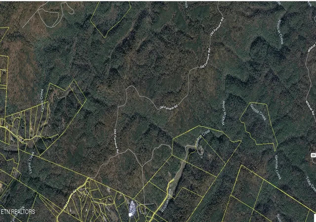 60th image of 201 Holder Cemetery Rd, Tellico Plains, TN 37385 | MLS# 1342792