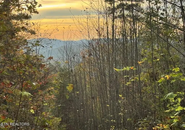 Photo 2 of Land for sale at Three Point Tract 3 Rd #004-03, Vonore, TN 37885 | MLS# 1342249 | Listing updated on 2026-07-10