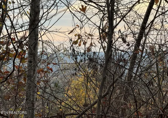 Photo 3 of Land for sale at Three Point Tract 3 Rd #004-03, Vonore, TN 37885 | MLS# 1342249 | Listing updated on 2026-07-10
