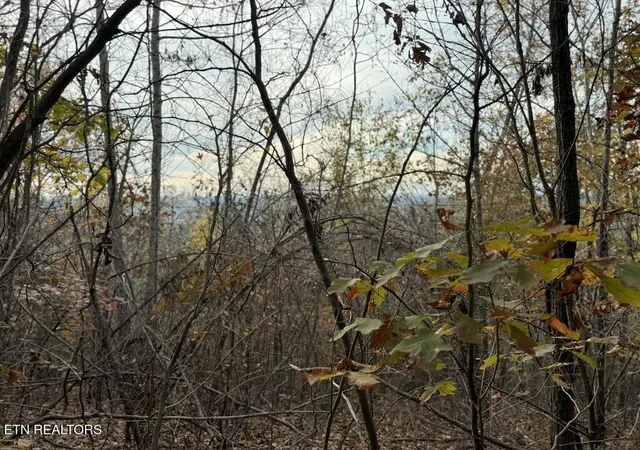 Photo 4 of Land for sale at Three Point Tract 3 Rd #004-03, Vonore, TN 37885 | MLS# 1342249 | Listing updated on 2026-07-10