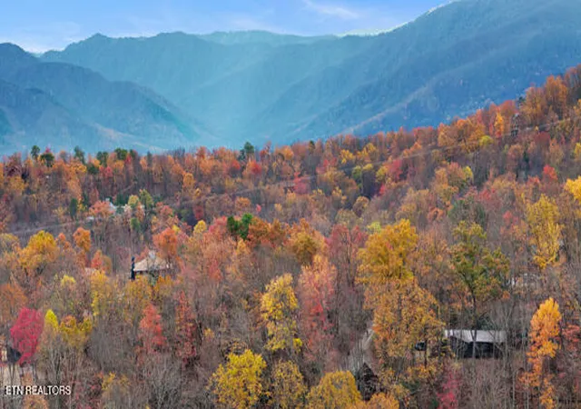4th image of 887 Holly Branch Rd, Gatlinburg, TN 37738 | MLS# 1343316