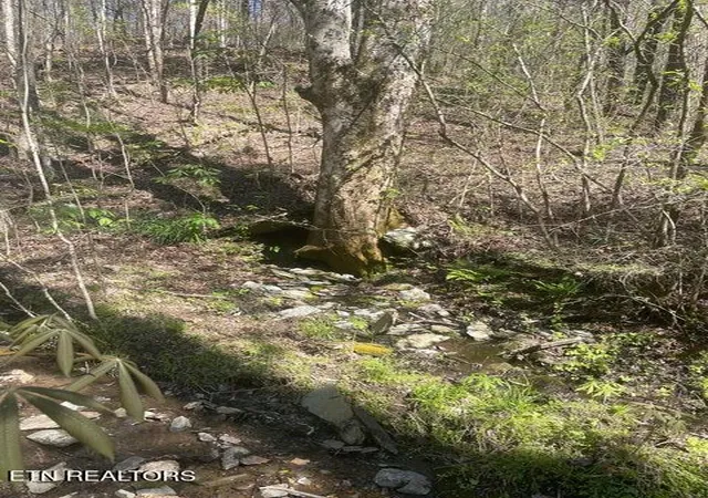 1st image of Lot 1 Old Furnace Rd, Tellico Plains, TN 37385 | MLS# 1344786