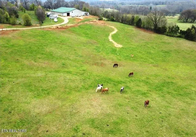 3rd image of 21876 E Coast Tellico Pkwy, Greenback, TN 37742 | MLS# 1342525
