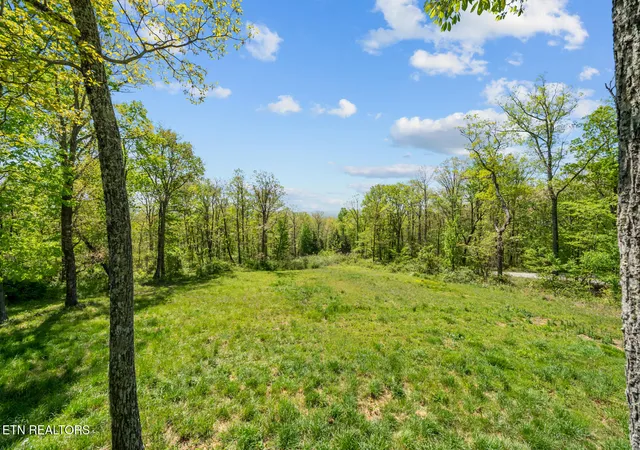Photo 3 of Land for sale at 74 Black Cat Tr, Rockwood, TN 37854 | MLS# 1342660 | Listing updated on 2026-06-16