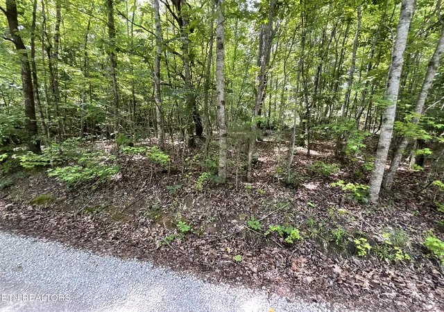 Photo 1 of Land for sale at Anna Laura Ln, Rockwood, TN 37854 | MLS# 1342770 | Listing updated on 2026-09-09