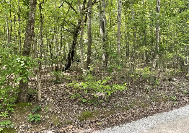Photo 2 of Land for sale at Anna Laura Ln, Rockwood, TN 37854 | MLS# 1342770 | Listing updated on 2026-09-09