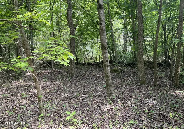 Photo 3 of Land for sale at Anna Laura Ln, Rockwood, TN 37854 | MLS# 1342770 | Listing updated on 2026-09-09