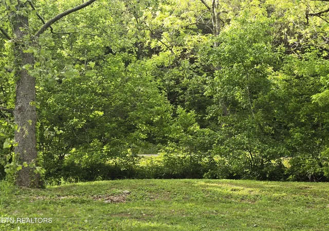 Homes for sale in Sneedville, TN | 2615 Stoney Fork Rd, Sneedville, TN 37869 | MLS# 1342722