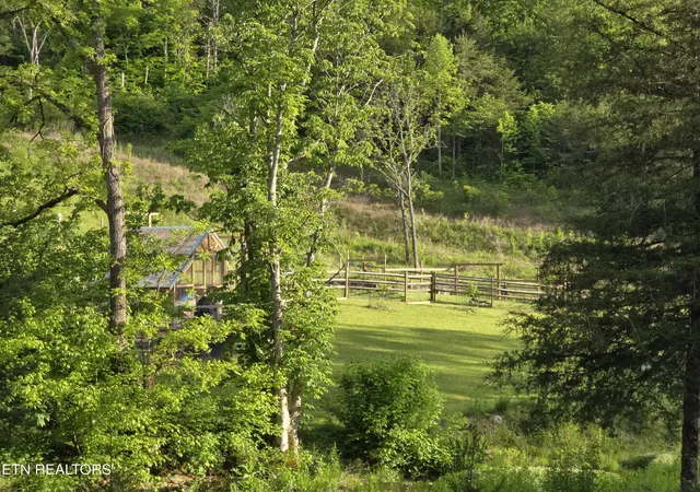 Homes for sale in Sneedville, TN | 2615 Stoney Fork Rd, Sneedville, TN 37869 | MLS# 1342722