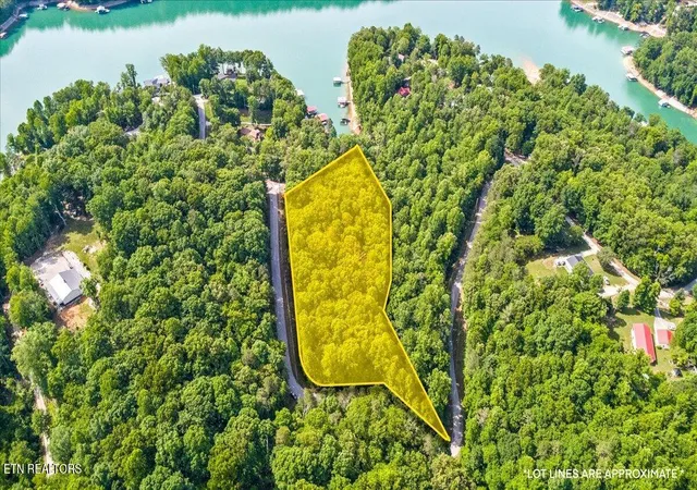 12th image of Big Creek Rd, La Follette, TN 37766 | MLS# 1343005