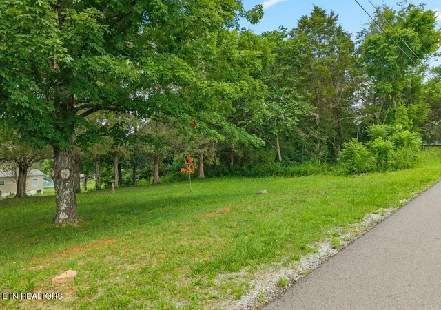 Homes for sale in Englewood, TN | 000 Buck Brown St, Englewood, TN 37329 | MLS# 1342691