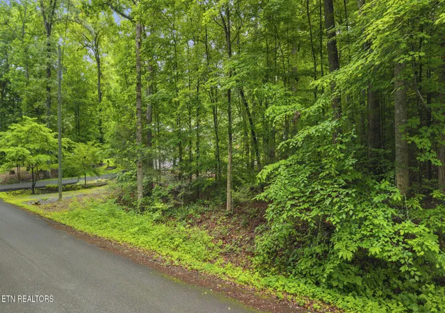 Photo 1 of Sale Pending at Peach Tree St, Sevierville, TN 37862 | MLS# 1342638 | Listing updated on 2026-08-22