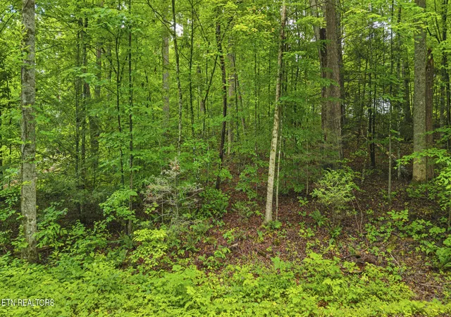 Photo 3 of Sale Pending at Peach Tree St, Sevierville, TN 37862 | MLS# 1342638 | Listing updated on 2026-08-22