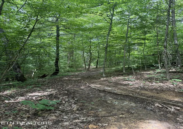 Photo 1 of Land for sale at 0 Thorngrove Pike, Knoxville, TN 37914 | MLS# 1342548 | Listing updated on 2026-06-02